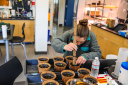 Honors Biology Capstone Projects Honors Biology Capstone Projects